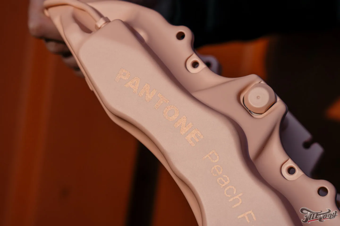 Суппорта в цвете 2024 года от Pantone Peach Fuzz